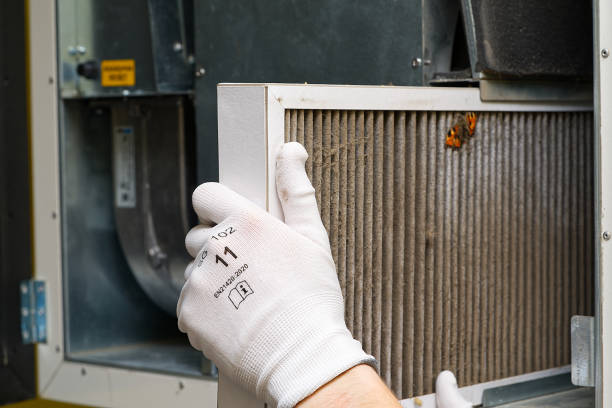 Best Air Duct Cleaning Near Me  in Temesl Valley, CA
